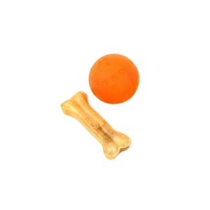 اسباب بازی سرگرمی حیوانات